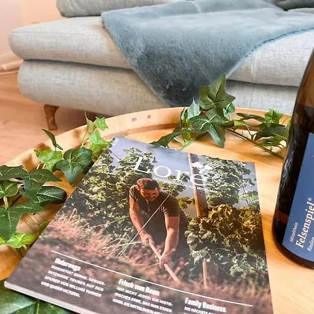 Apartament Rhein & Wein - Eroeffnungsangebot *